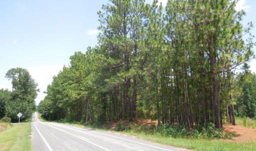 Photo #3 of 2200 Darroch, Lillington, NC 44.1 acres