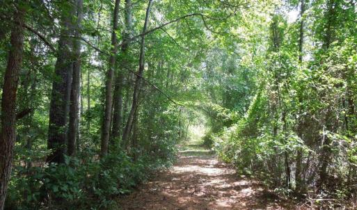 Photo #11 of 2200 Darroch, Lillington, NC 44.1 acres