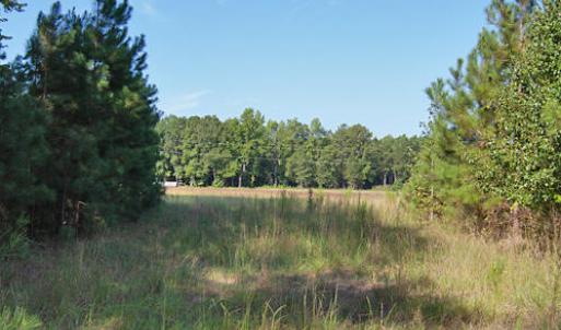 Photo #7 of 1738 Laurel Mill-centerville, Louisburg, NC 15.8 acres