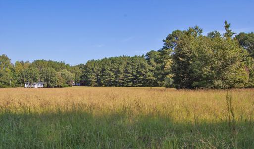 Photo #16 of 1738 Laurel Mill-centerville, Louisburg, NC 15.8 acres