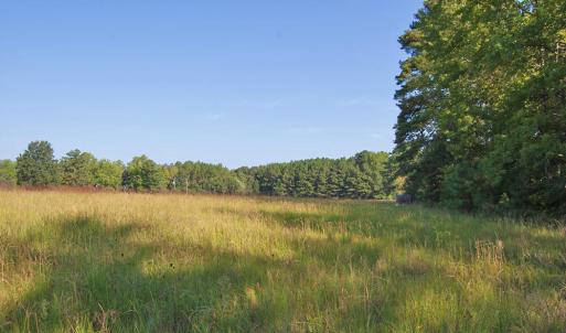 Photo #1 of 1738 Laurel Mill-centerville, Louisburg, NC 15.8 acres