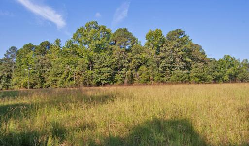 Photo #5 of 1738 Laurel Mill-centerville, Louisburg, NC 15.8 acres