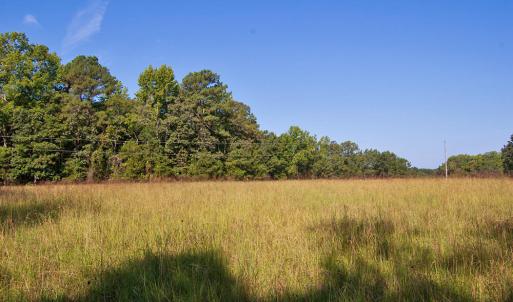 Photo #13 of 1738 Laurel Mill-centerville, Louisburg, NC 15.8 acres