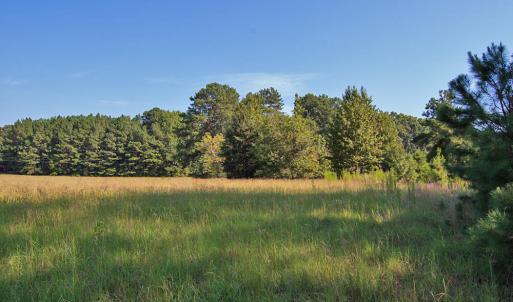 Photo #15 of 1738 Laurel Mill-centerville, Louisburg, NC 15.8 acres