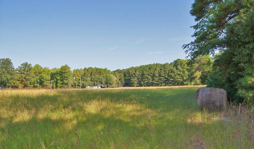 Photo #6 of 1738 Laurel Mill-centerville, Louisburg, NC 15.8 acres