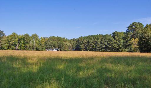 Photo #4 of 1738 Laurel Mill-centerville, Louisburg, NC 15.8 acres
