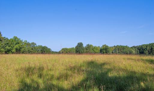 Photo #3 of 1738 Laurel Mill-centerville, Louisburg, NC 15.8 acres