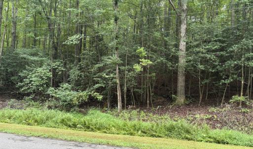 Photo #2 of 118 Souix, Louisburg, NC 0.4 acres