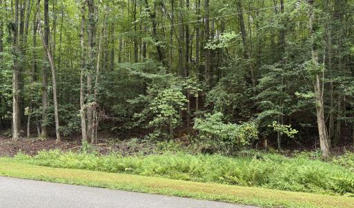 Photo #1 of 118 Souix, Louisburg, NC 0.4 acres