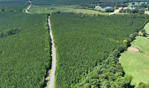 Photo #8 of 4093 Nc Highway 42, Goldston, NC 13.9 acres