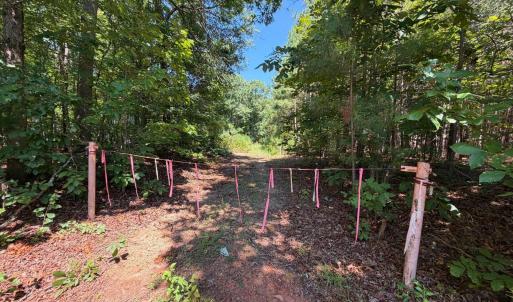 Photo #23 of 4093 Nc Highway 42, Goldston, NC 13.9 acres