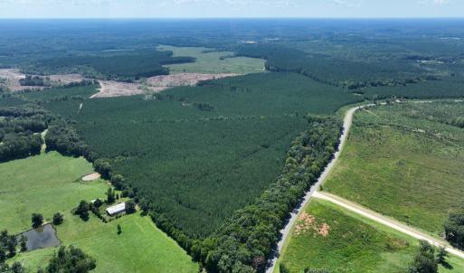 Photo #16 of 4093 Nc Highway 42, Goldston, NC 13.9 acres