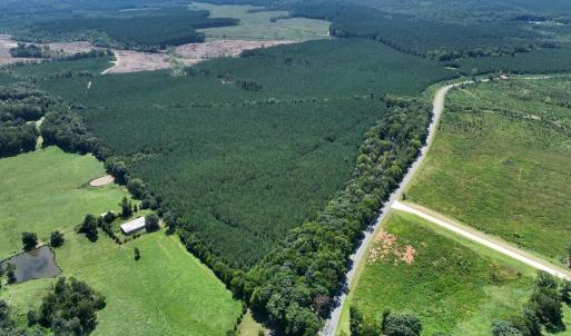 Photo #15 of 4093 Nc Highway 42, Goldston, NC 13.9 acres