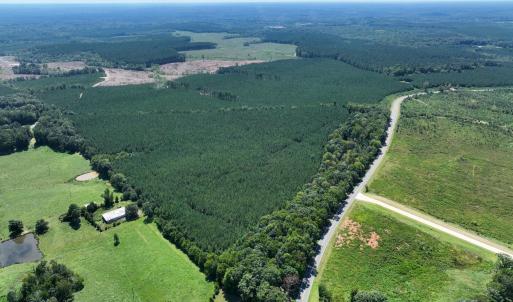 Photo #14 of 4093 Nc Highway 42, Goldston, NC 13.9 acres