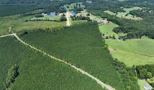 Photo #5 of Lot 2 Hwy 42, Goldston, NC 13.9 acres