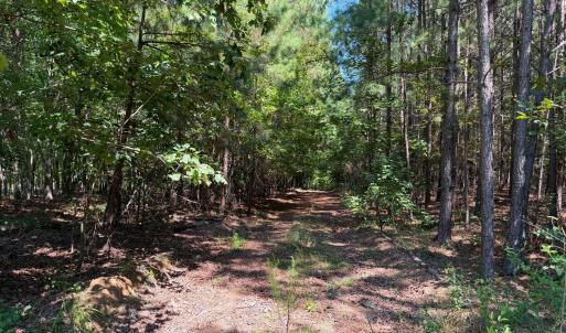 Photo #24 of Lot 2 Hwy 42, Goldston, NC 13.9 acres