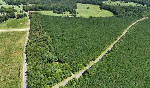 Photo #3 of Lot 2 Hwy 42, Goldston, NC 13.9 acres