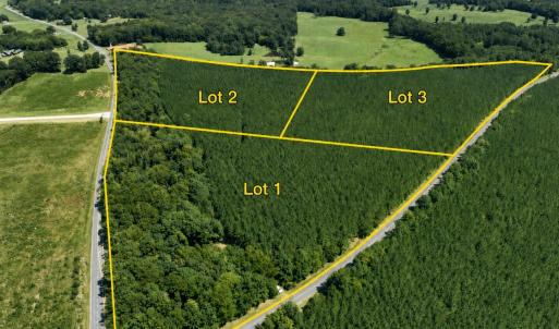 Photo #2 of Lot 2 Hwy 42, Goldston, NC 13.9 acres