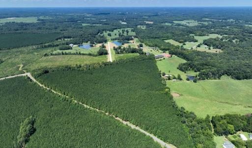 Photo #6 of Lot 2 Hwy 42, Goldston, NC 13.9 acres