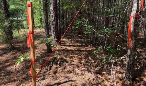 Photo #22 of Lot 2 Hwy 42, Goldston, NC 13.9 acres
