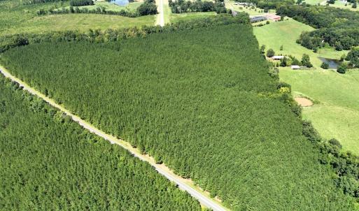 Photo #7 of Lot 2 Hwy 42, Goldston, NC 13.9 acres
