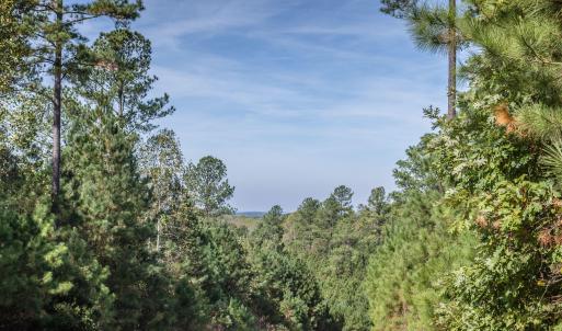 Photo #21 of 130 Bur Oak, Pittsboro, NC 0.5 acres