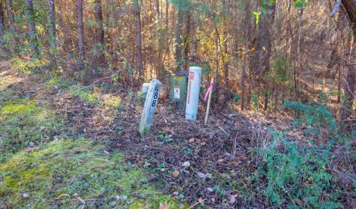 Photo #70 of 130 Bur Oak, Pittsboro, NC 0.5 acres