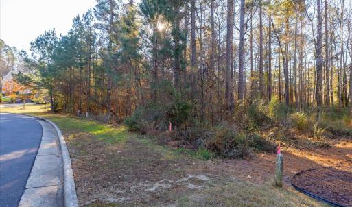 Photo #68 of 130 Bur Oak, Pittsboro, NC 0.5 acres
