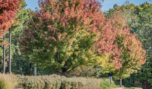 Photo #12 of 130 Bur Oak, Pittsboro, NC 0.5 acres