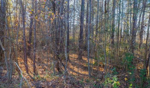 Photo #69 of 130 Bur Oak, Pittsboro, NC 0.5 acres