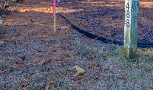 Photo #67 of 130 Bur Oak, Pittsboro, NC 0.5 acres