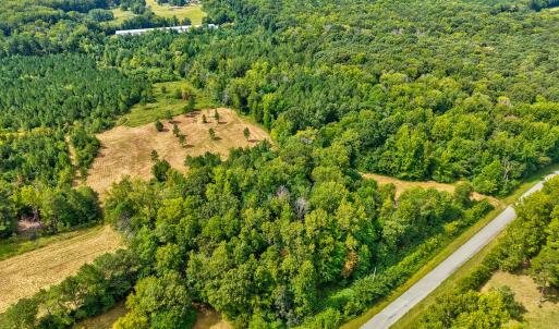 Photo #4 of D Hart Road, Siler City, NC 43.6 acres