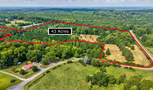 Photo #5 of D Hart Road, Siler City, NC 43.6 acres
