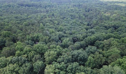 Photo #4 of Redgate, Pittsboro, NC 8.4 acres