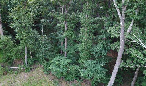 Photo #5 of Redgate, Pittsboro, NC 8.4 acres