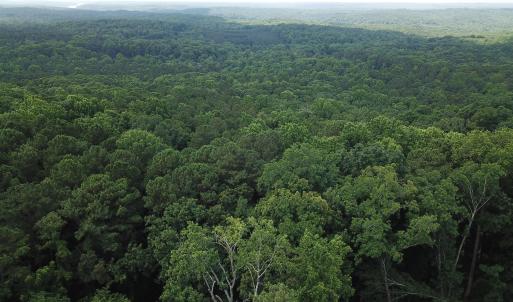 Photo #1 of Redgate, Pittsboro, NC 8.4 acres
