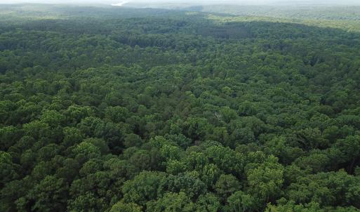 Photo #3 of Redgate, Pittsboro, NC 8.4 acres