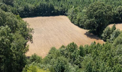 Photo #14 of 833 River Point, Moncure, NC 39.2 acres