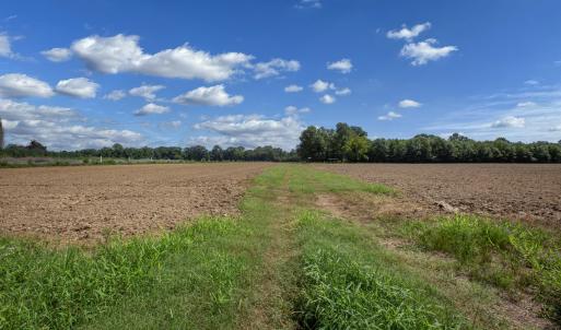 Photo #2 of 833 River Point, Moncure, NC 39.2 acres