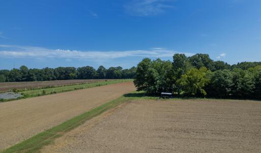 Photo #12 of 833 River Point, Moncure, NC 39.2 acres