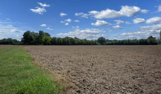 Photo #3 of 833 River Point, Moncure, NC 39.2 acres