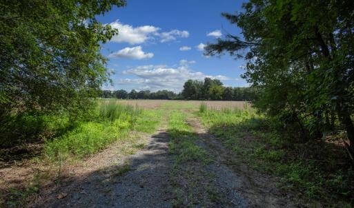 Photo #1 of 833 River Point, Moncure, NC 39.2 acres