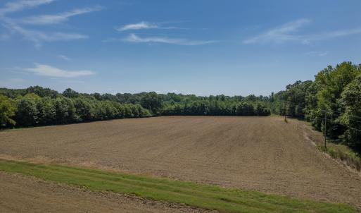 Photo #11 of 833 River Point, Moncure, NC 39.2 acres