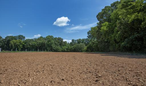 Photo #6 of 833 River Point, Moncure, NC 39.2 acres