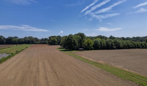 Photo #10 of 833 River Point, Moncure, NC 39.2 acres