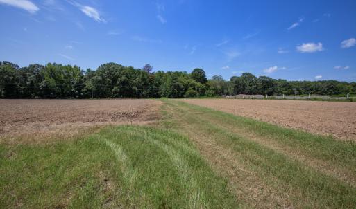 Photo #9 of 833 River Point, Moncure, NC 39.2 acres