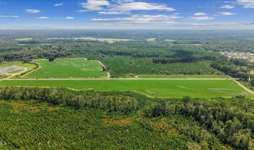 Photo #5 of 850 Horseshoe Bend, Erwin, NC 175.0 acres