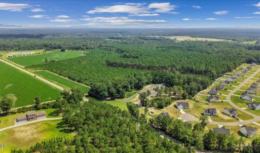 Photo #6 of 850 Horseshoe Bend, Erwin, NC 175.0 acres