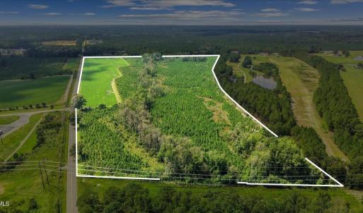Photo #3 of 850 Horseshoe Bend, Erwin, NC 175.0 acres