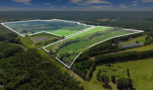 Photo #1 of 850 Horseshoe Bend, Erwin, NC 175.0 acres